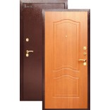Дверь Аргус ДА-2